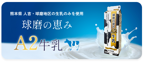 ܸᡦ͵϶Τߤ ηä A2