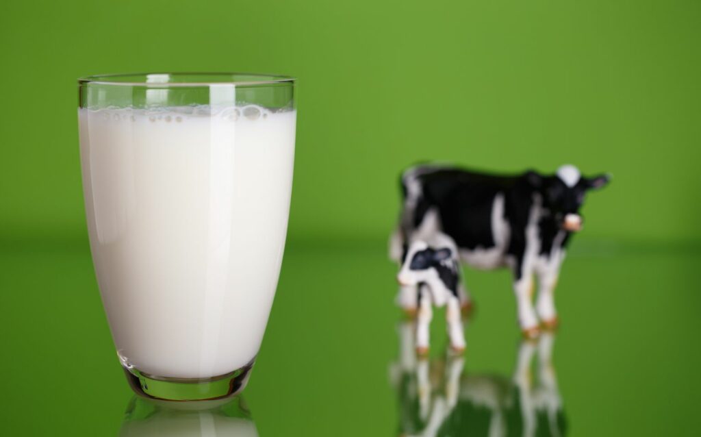 牛乳が入ったコップと牛の置物