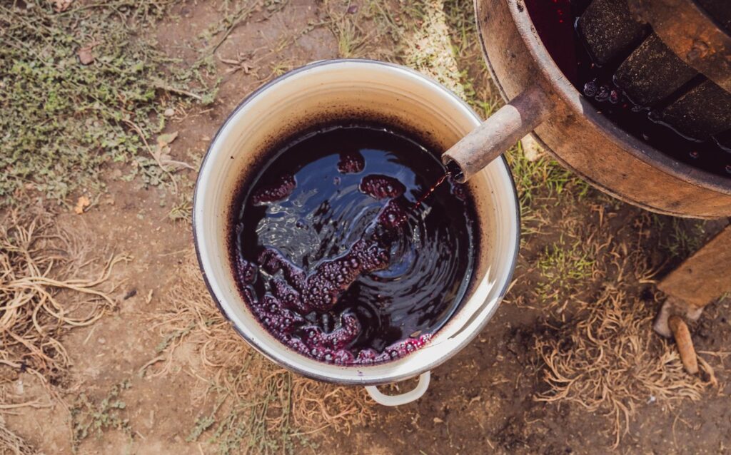 ぶどうから果汁を搾り取っているシーン