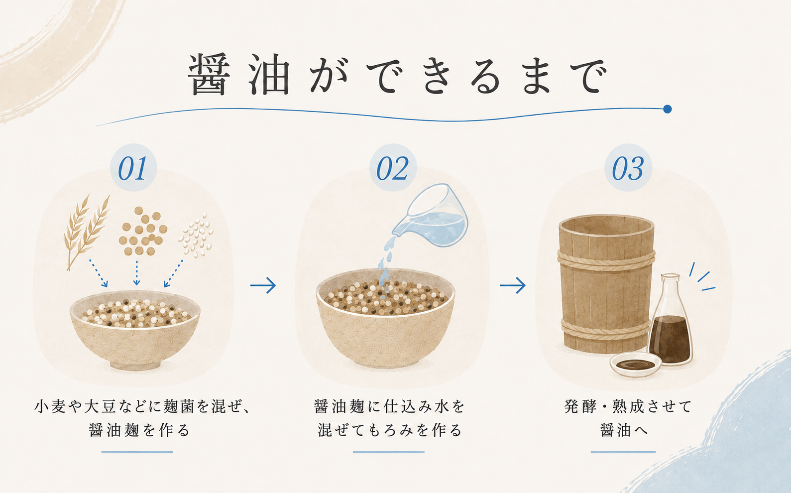 ①小麦などの主原料に麹菌を混ぜて醤油麹を作る②醤油麹に仕込み水をまぜてもろみを作る③もろみを発酵・熟成させて醤油の完成